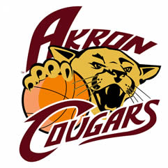 Akron Cougars 2007 Primary Logo iron on heat transfer